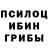 Галлюциногенные грибы Psilocybine cubensis eric oconnell