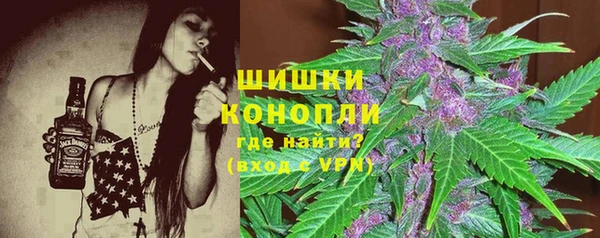 первитин Туринск