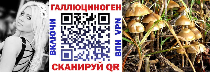 Галлюциногенные грибы прущие грибы продажа наркотиков Хвалынск